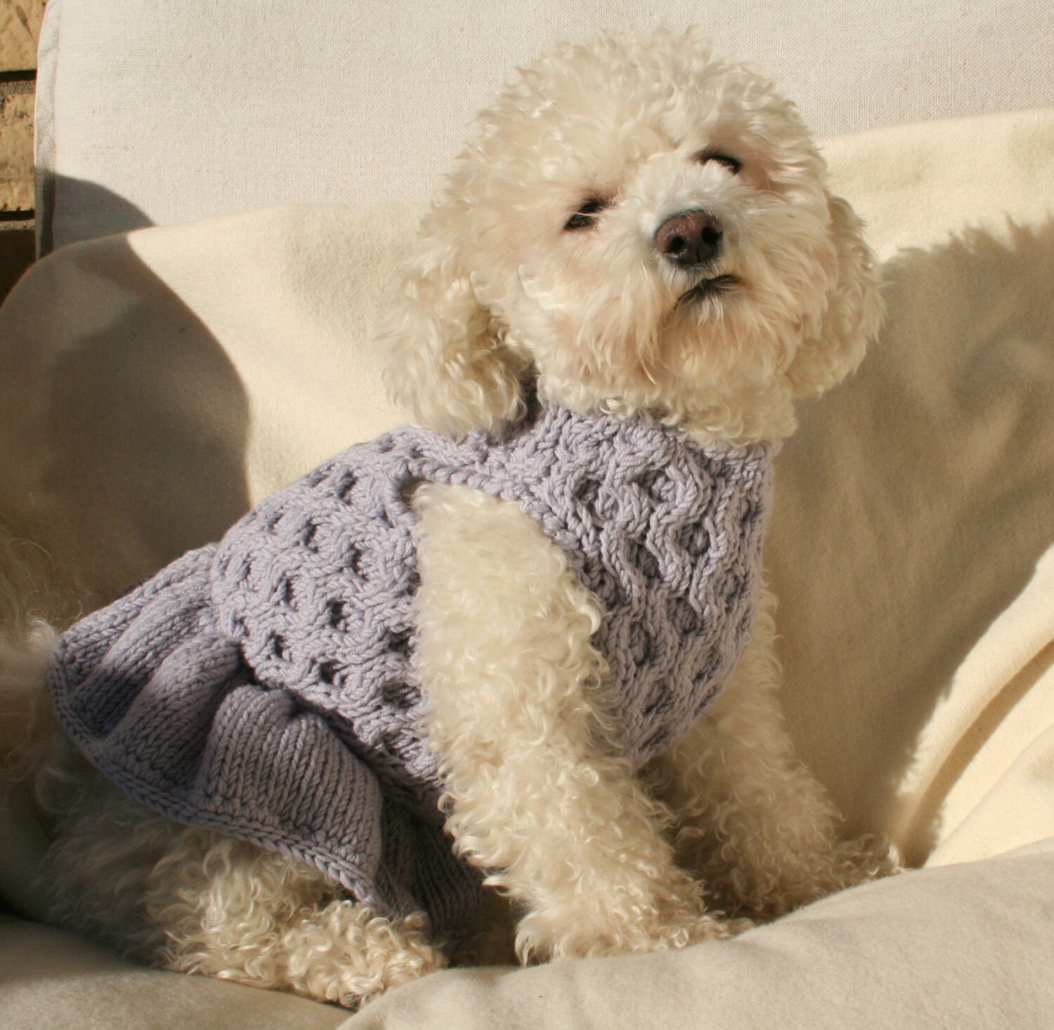 Dog Dress Pet Clothing Hand Knit Dog Clothes by by BubaDog