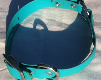 Teal DayGlo Collar Beta Collar Biothane Collar Dog Collar Hound Collar Hunting Collar Stainless Steel Hardware FREE NAMEPLATE