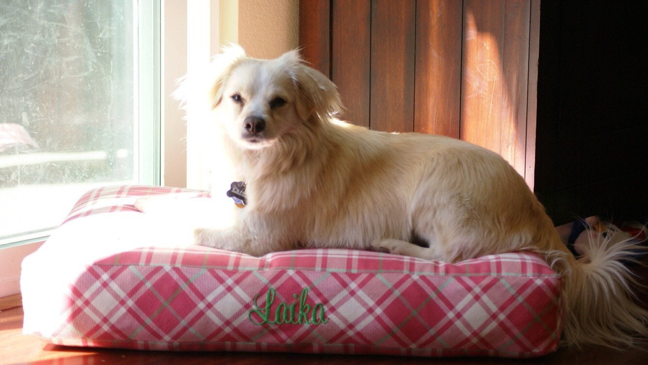 Dog Bed Chloe Pink Green Plaid Limited by ThreeSpoiledDogs