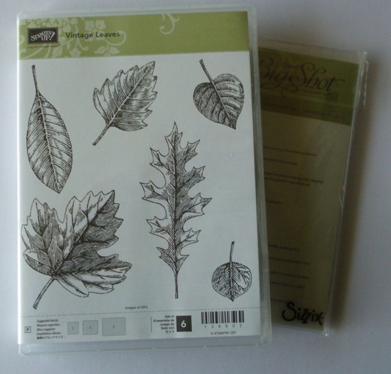 Stampin Up Vintage Leaves Leaflets Framelits Dies Stamp and