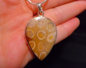 FOSSILIZED CORAL PENDANT Sterling Silver