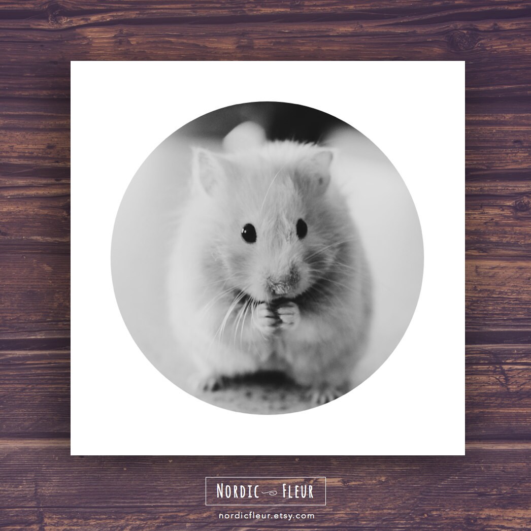 Hamster Print Printable Kids Gift Kids Animal Art Cute