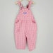 Vintage OshKosh B'Gosh Overalls - Pink, Purple and Yellow Plaid for Toddlers Kids