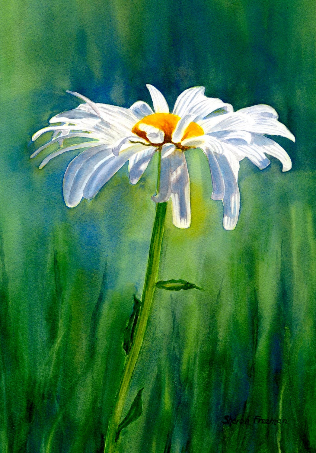 White daisy watercolor daisies watercolor painting original