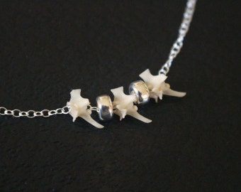 Sterling Silver Bone Necklace, Real Snake Vertebrae Necklace, Animal Bones Jewelry, Dainty Silver Necklace, Genuine Rattlesnake Bone Jewelry