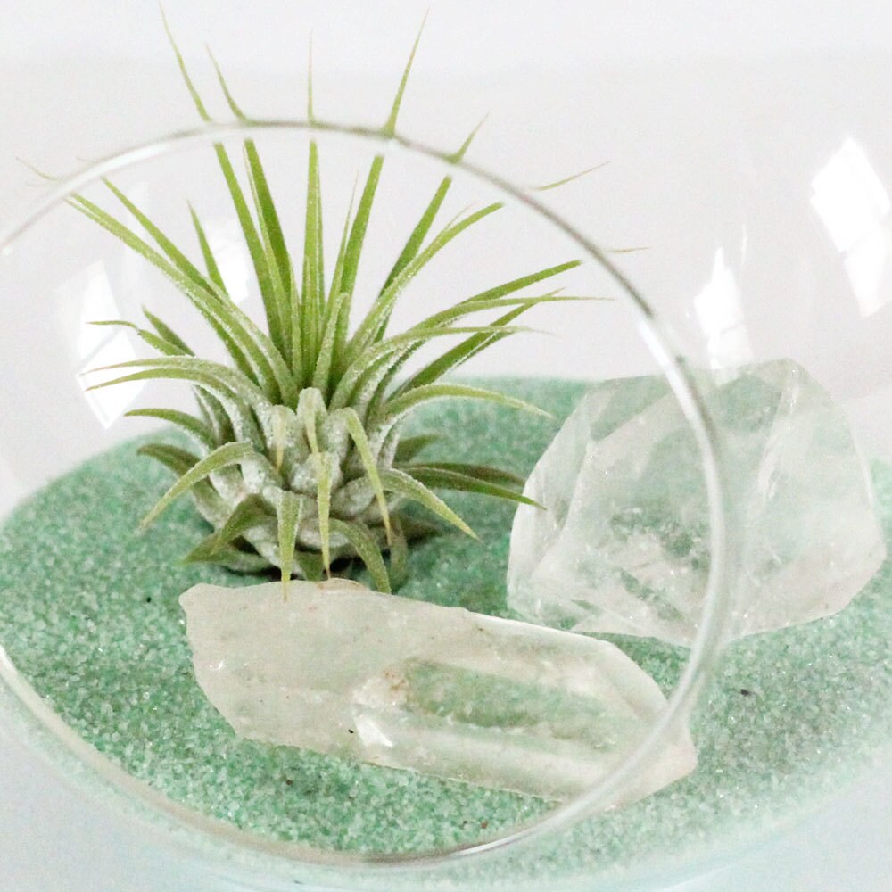 Diy Terrarium Kit Air Plant Clear Quartz Crystals And Mint - Diy Terrarium Kit Air Plant Clear Quartz Crystals And Mint Sand Minimalist Modern Terrarium Small diy terrarium kit air plant clear quartz crystals and mint - diy terrarium kit air plant clear quartz crystals and mint sand minimalist modern terrarium small
