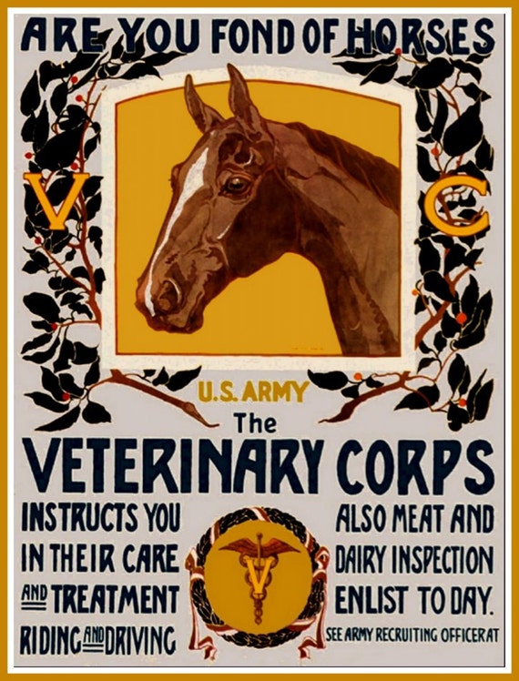 US Army Veterinary Corps Advert Print World War II