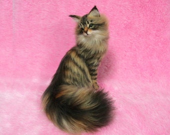 Needle Felted Beautiful Maine Coon: Needle Felt Cat, Needle Felting