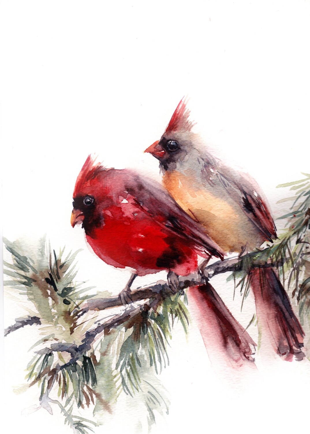 original watercolor painting northern cardinals couple original watercolor painting northern cardinals couple