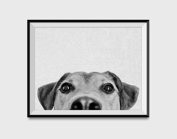 Peeking Dog Print Wall Art Poster Dog Poster Dog Print