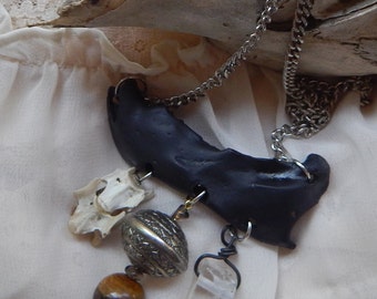 Raccoon jaw bone | Etsy