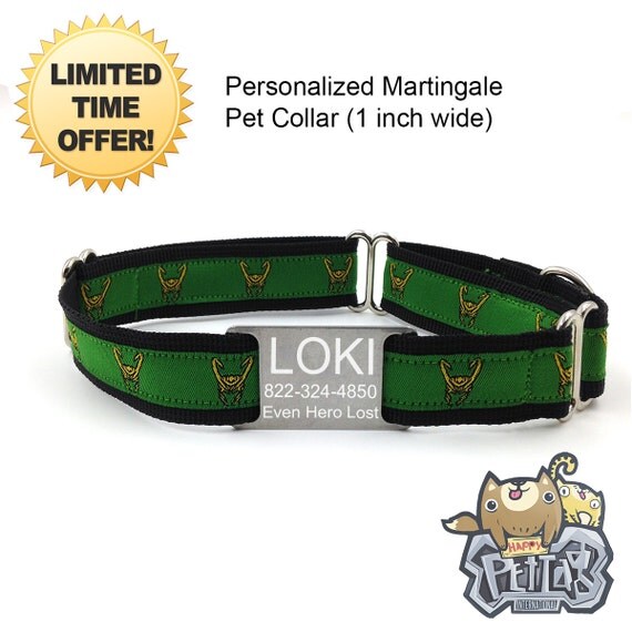 LOKI Personalized Martingale Dog Collar Superhero Martingale