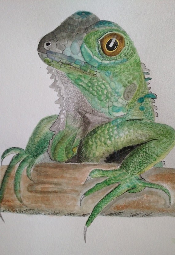 Items similar to Watercolor painting - Green Iguana on Etsy