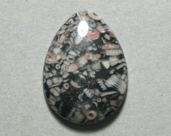 CRINOID FOSSIL agate drop cabochon 22X30mm pear designer cab