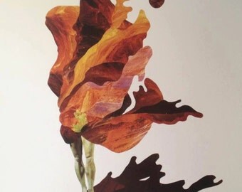 Fine Art Print - Shroud - 11x17