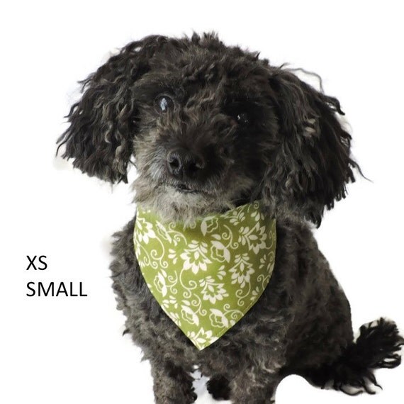 Items similar to Green Dog Bandana, Tie On Dog Bandana, Small Dog