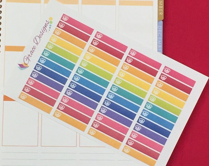 Package Stickers Little Extras Headers / Planner Stickers / (48 Count) Rainbow Collection | for use with ERIN CONDREN LifePlanner