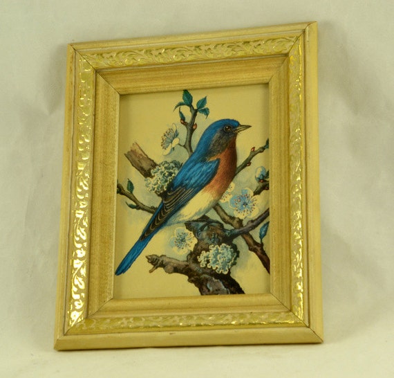 Framed Bluebird Print Vintage Wall Decor Bird Picture