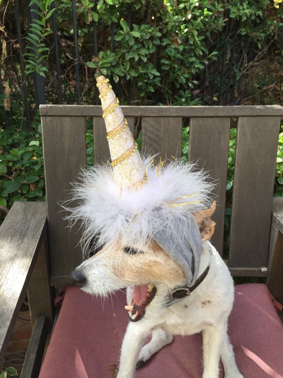  Dog  unicorn 