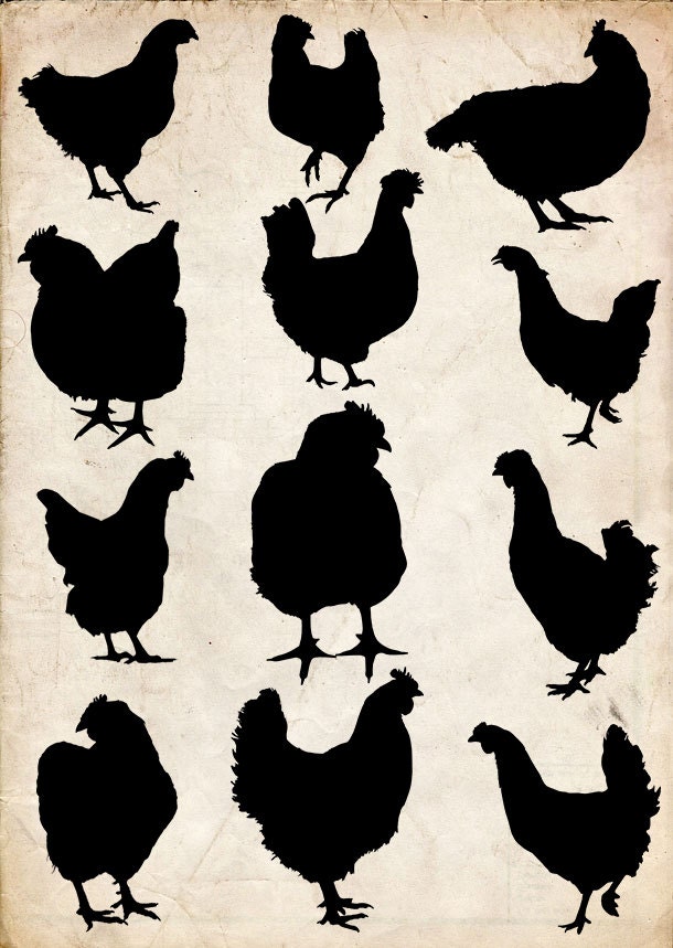 HuhnSilhouette 12 Png Clipart Instant Download clipart