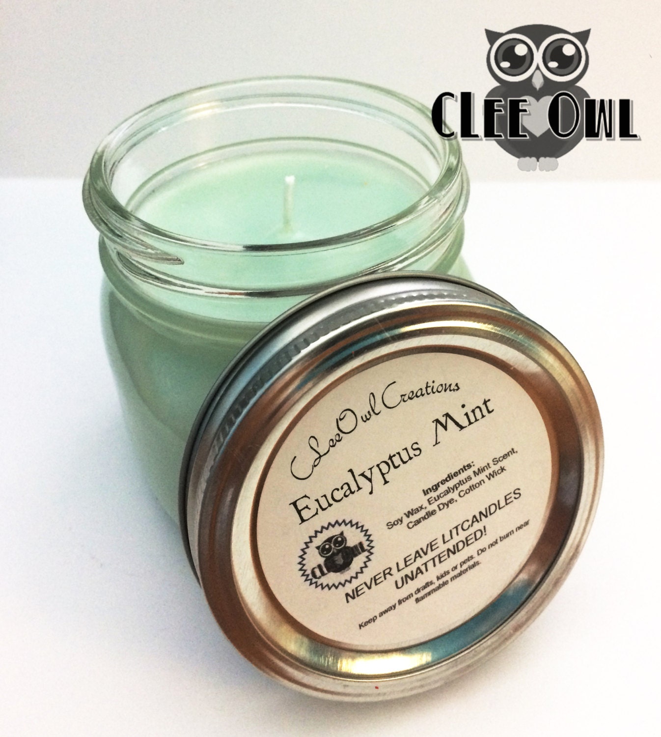 Eucalyptus Mint Soy Candle 16oz Handmade Free Shipping by