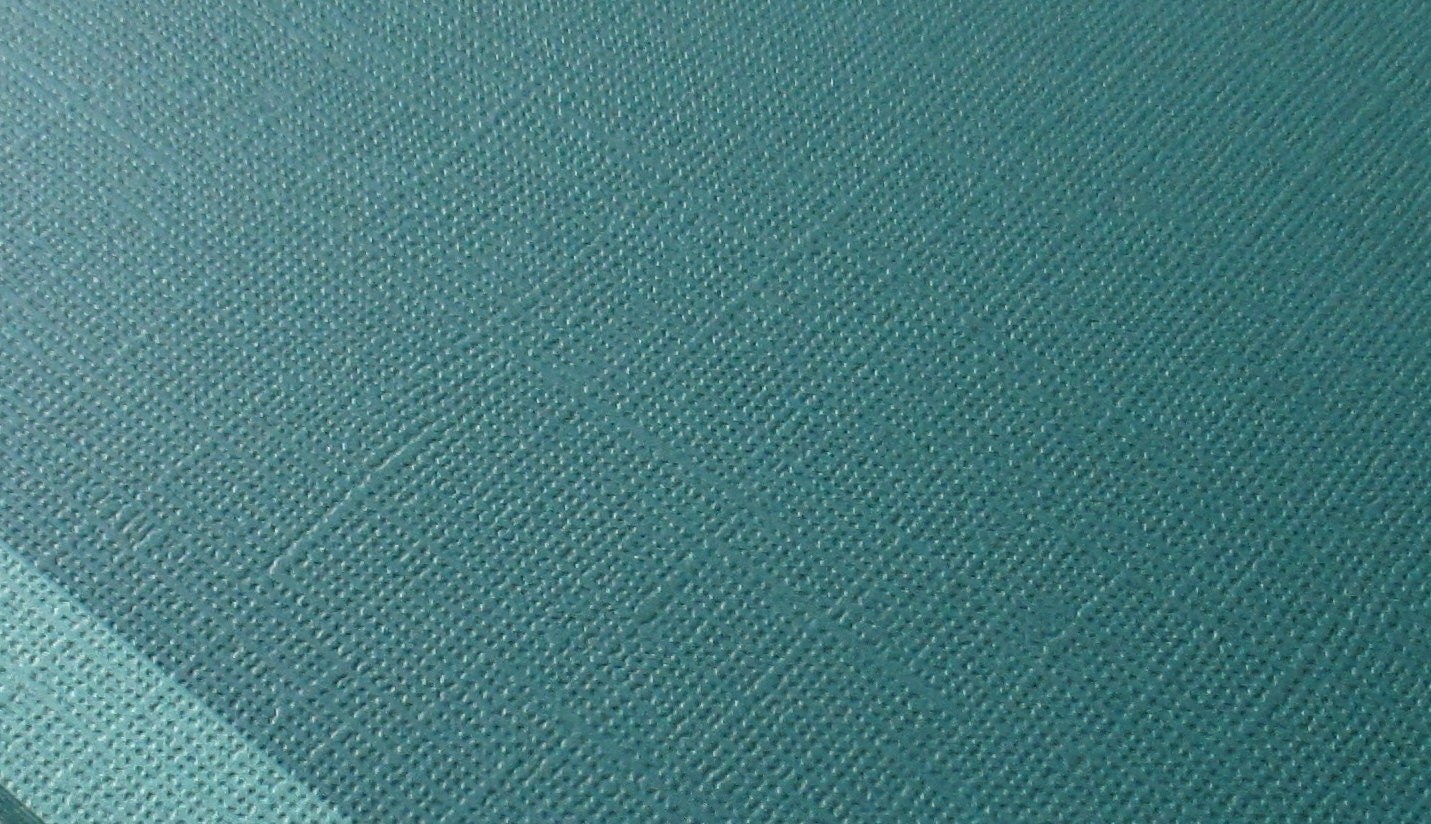 Marsh Green Textured Paper Cardstock Sheet by TheSupplyDestash