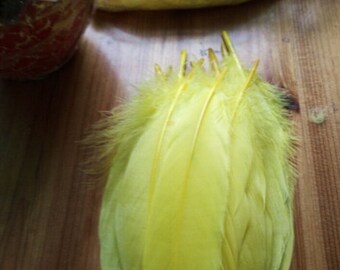 1 feather for various confections * feathers F 106