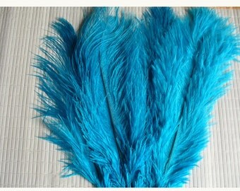 1 feather for various confections * feathers C 103
