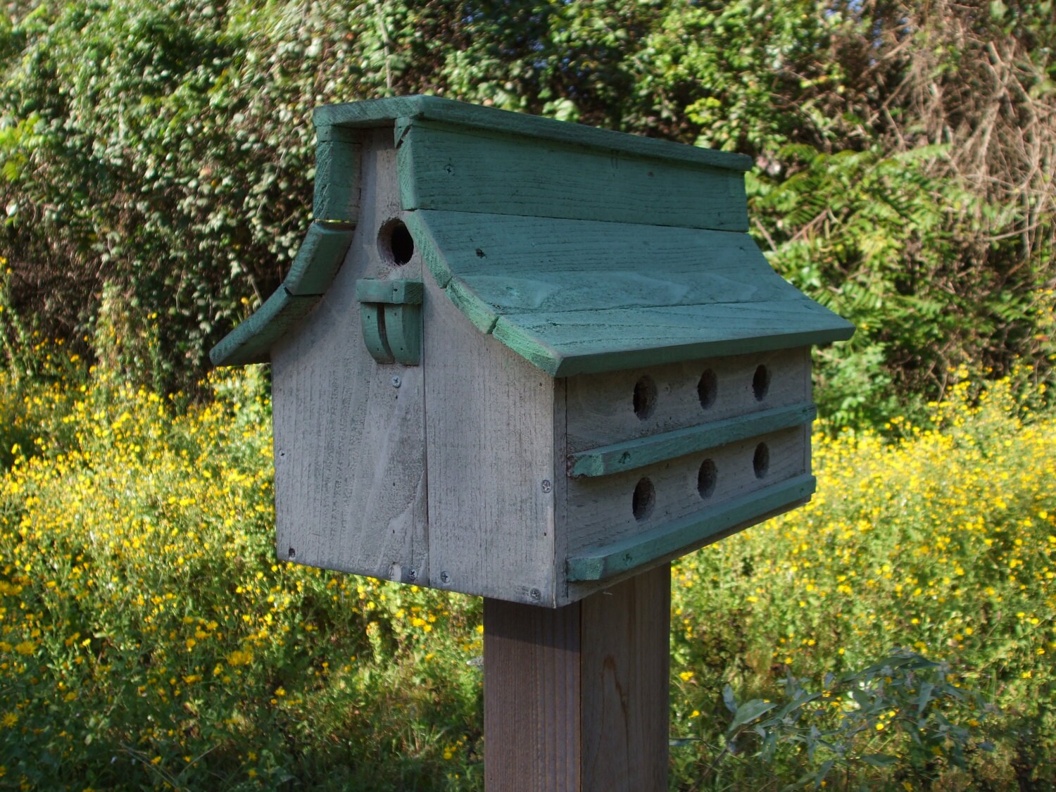 Purple Martin bird house Green and white bird house