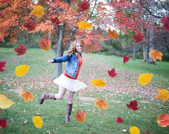 DIGITAL Overlay Autumn falling leaves, png for photographers, photography, photos