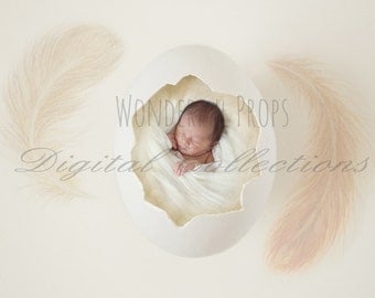 Digital Newborn Photography Egg Prop Backdrop - Cream, with Feathers, for Twins