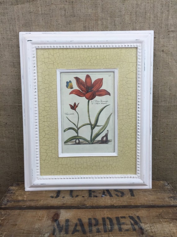 BOTANICAL PRINTS / Vintage Style Framed Botanical Prints / Vintage Botanicals / Large Framed Prints / Cream Crackle Glaze Frames