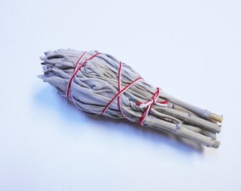 One (1) White Sage Smudge Stick 4" Cleansing Positive Energy