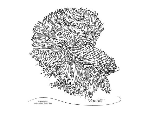 Betta Fish Original Art Coloring Page by MerleesMoods on Etsy