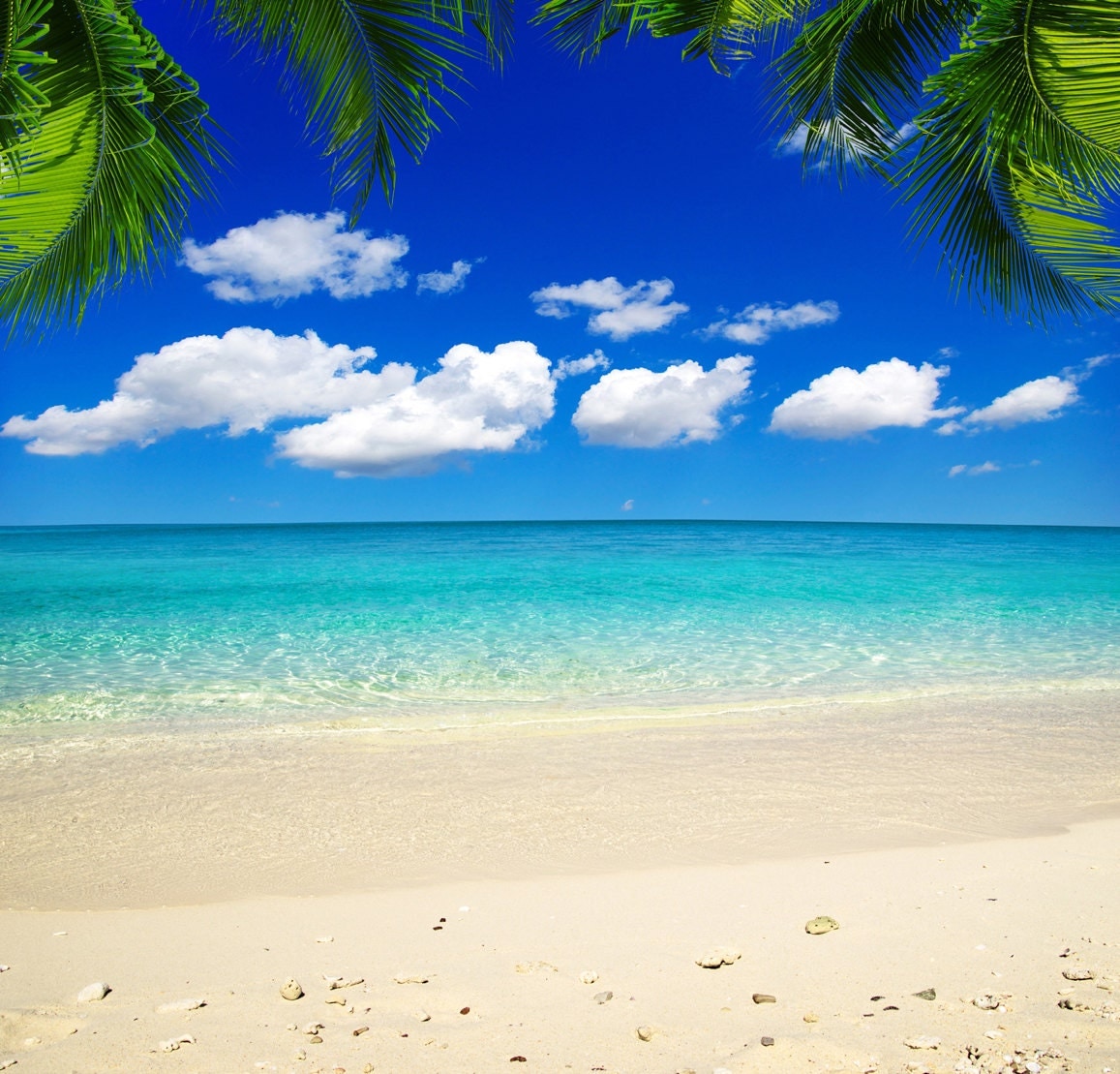 Sea Beach Backdrop seaside tropical ocean wedding summer