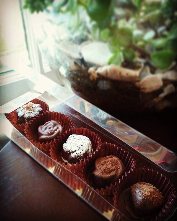 Small Exotic Chocolate Truffle Gift Box 5 Different Flavors