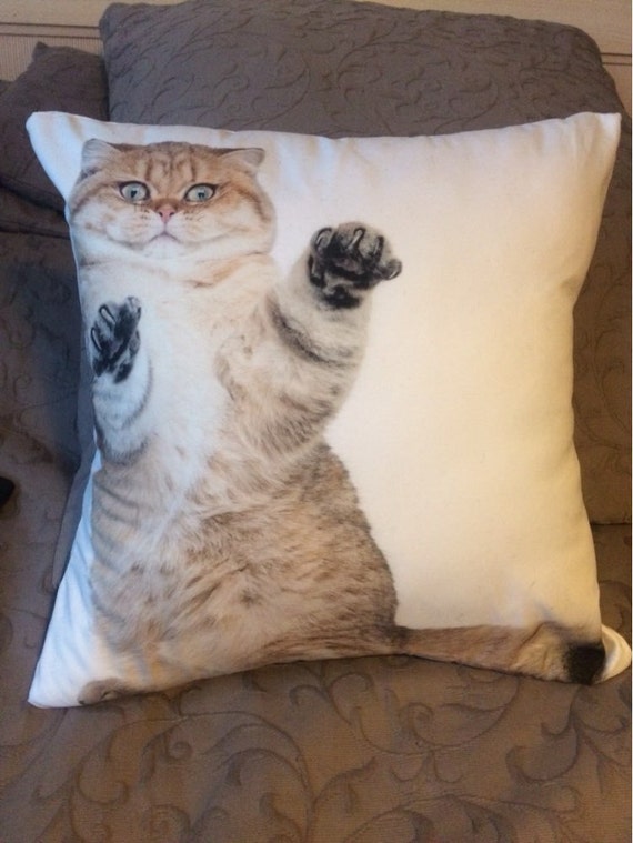 Cat pillow cover FREE Shipping funny cat original by