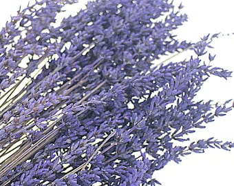 40 Lavender stems Preserved Lavandula Immortal Purple Lavendar Dried Flower Bouquet Floral Locket Jewelry Filler, Craft DIY Supplies