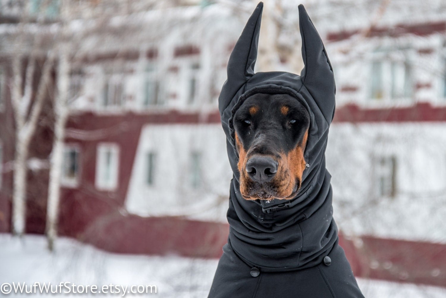 Dobermann Coats Pet Dog Winter Fall Rainy Weather Jackets Dobermann Coats Pet Dog Winter Fall Rainy Weather Jackets