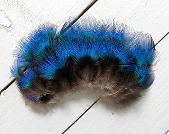 Blue peacock feathers // 20 pieces // 1-3" inch - 2.5-6.5 cm