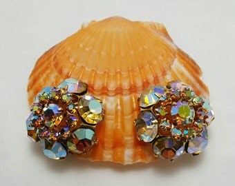 WARNER Aurora Borealis Earrings