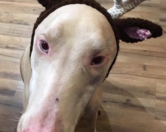 Reindeer Antlers for your dog, Dog hat, Animal Hat, Christmas hat, dog Christmas hat, Reindeer Antlers, Dog antlers