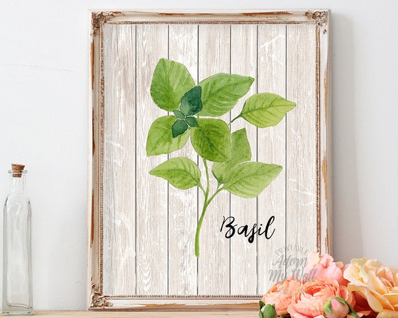 Kitchen art basil kitchen decor herb print basil print