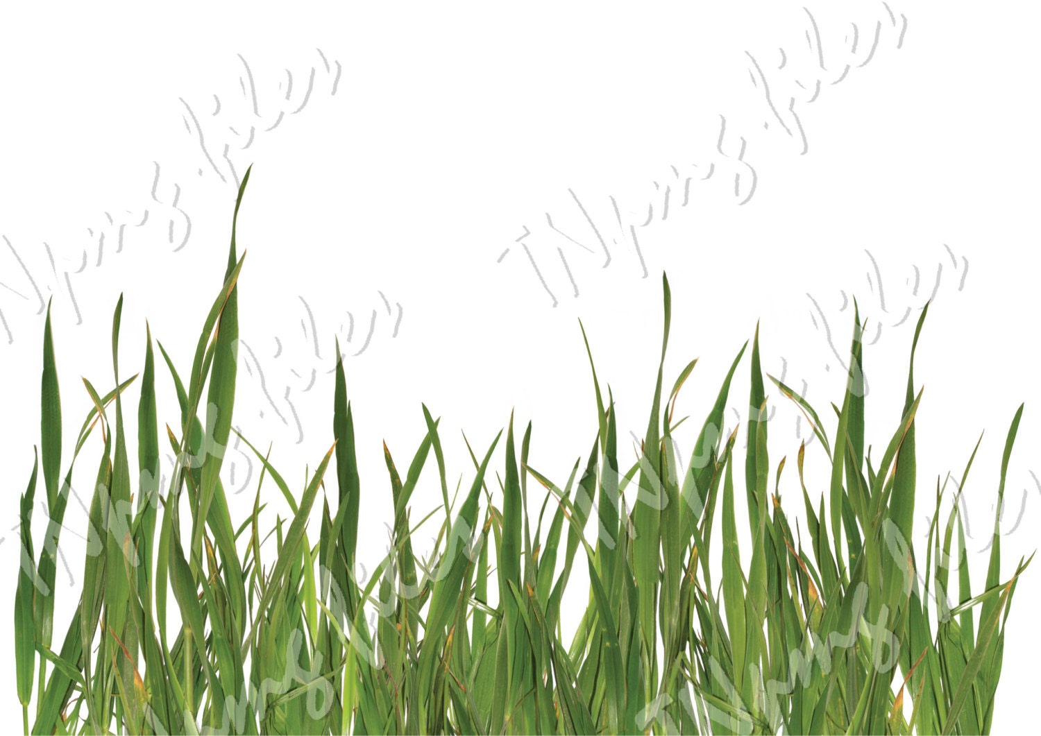 Download PNG GRASS Cutting Photoshop file Download discount coupons