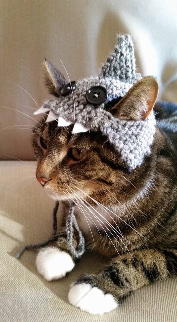 Shark Cat Hat