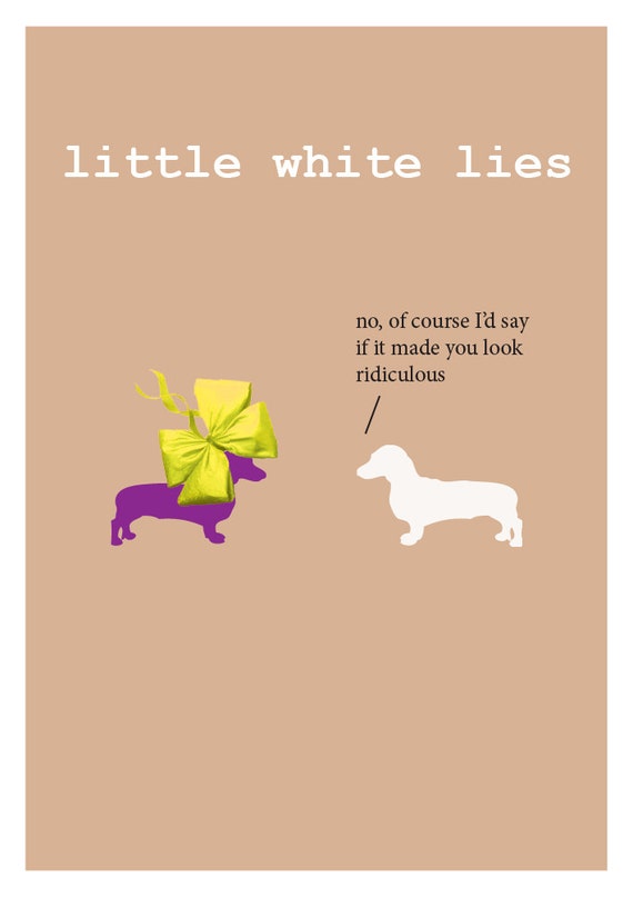 funny white lies party ideas