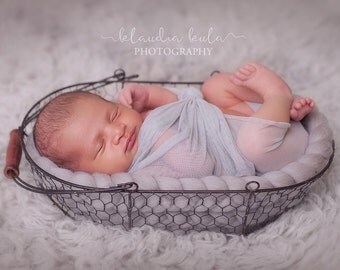 wire basket newborn photography prop