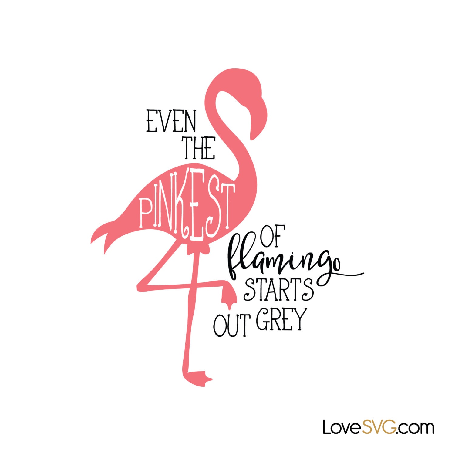 Download The Pinkest of Flamingo SVG cut files Silhouette by loveSVGshop