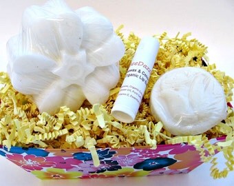 Dye Free Spa Set, Skincare Kit, Organic Spa Set, Spa Gift Basket, Organic Skincare, Organic Soap, Fragrance Free Lotion, Dye Free Soap