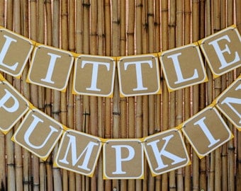 Little Pumpkin Banner, Little Pumpkin, Pumpkin Banner, Fall Banner, Baby Shower, Birthday Banner, Photo Prop, Baby Banner, First Birthday